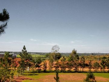 EXCELENTE PROPIEDAD CASA QUINTA  TERRENO DE UNA HECTAREA EN  PARAJE ATALAYA EN  RUTA 94 SANTO TOME CORRIENTES
