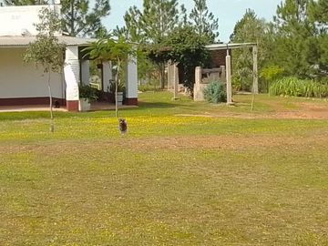EXCELENTE PROPIEDAD CASA QUINTA  TERRENO DE UNA HECTAREA EN  PARAJE ATALAYA EN  RUTA 94 SANTO TOME CORRIENTES