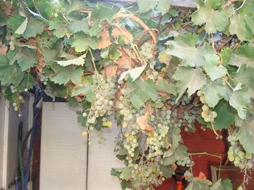 Casa en Venta en Los Maitenes con Tobalaba