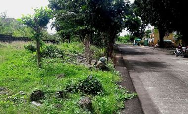 Last Remaining 152 Sqm Lot for Sale in Basak Lapu-Lapu Cebu near Gaisano Mall