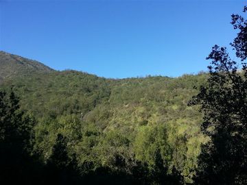 Parcela en Venta en La Aurora / Curacacvi