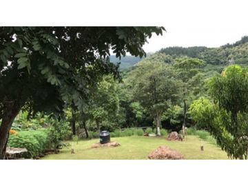 VENDO TERRENO EN PANAM OESTE, CHAME SAJALICES 4200mts