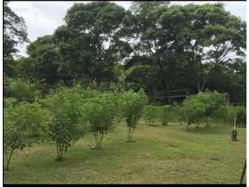 VENDO TERRENO EN PANAM OESTE, CHAME SAJALICES 4200mts