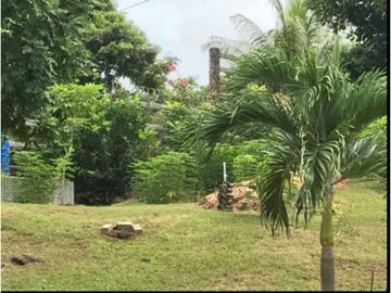 VENDO TERRENO EN PANAM OESTE, CHAME SAJALICES 4200mts
