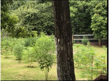 VENDO TERRENO EN PANAM OESTE, CHAME SAJALICES 4200mts