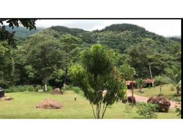 VENDO TERRENO EN PANAM OESTE, CHAME SAJALICES 4200mts