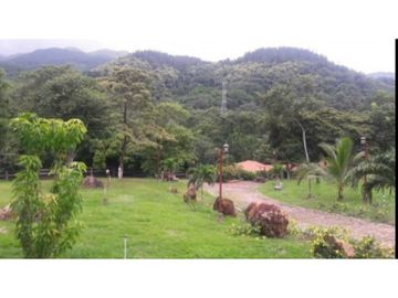 VENDO TERRENO EN PANAM OESTE, CHAME SAJALICES 4200mts