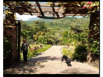 VENDO TERRENO EN PANAM OESTE, CHAME SAJALICES 4200mts