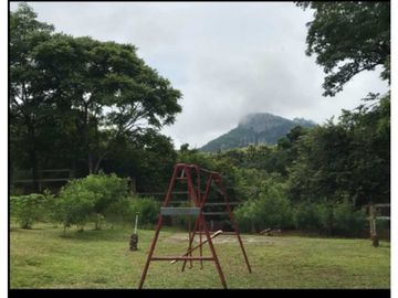 VENDO TERRENO EN PANAM OESTE, CHAME SAJALICES 4200mts