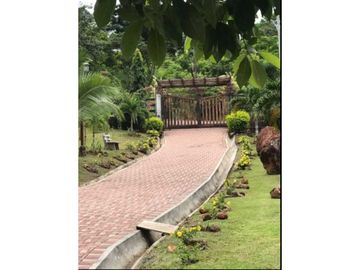 VENDO TERRENO EN PANAM OESTE, CHAME SAJALICES 4200mts