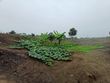 Se Vende Terreno para Desarrollar en Zona Rural y Cerca del Mar en Puerto Cayo