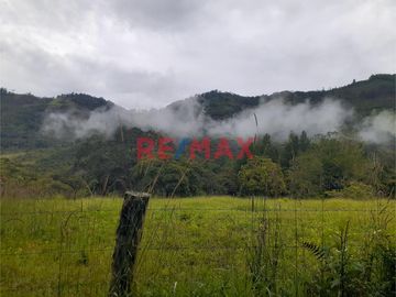 Venta De Terreno Con Plantaciones De Café Orgánico En Producción