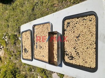 Venta De Terreno Con Plantaciones De Café Orgánico En Producción
