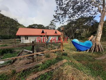 Venta De Terreno Con Plantaciones De Café Orgánico En Producción