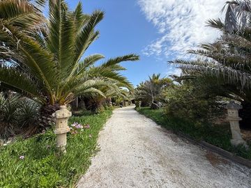 Sitio en Venta en Los Vilos