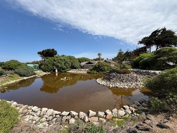 Sitio en Venta en Los Vilos