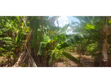 VENDO CASA CON 1000 METROS EN BOQUERON