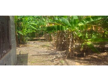 VENDO CASA CON 1000 METROS EN BOQUERON