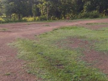 Jual Tanah di Belu Nusa Tenggara Timur