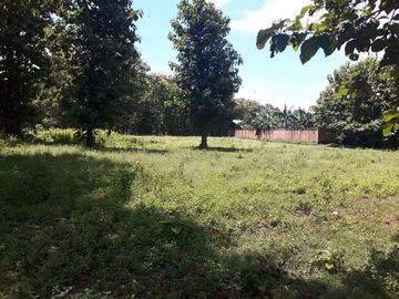 Jual Tanah di Belu Nusa Tenggara Timur
