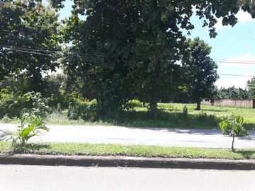 Jual Tanah di Belu Nusa Tenggara Timur