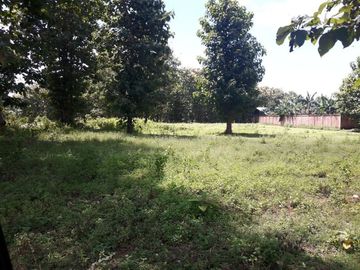 Jual Tanah di Belu Nusa Tenggara Timur