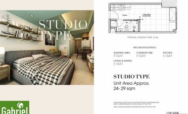 Studio Condominium for Sale in Cebu IT Park, 38 Park Avenue