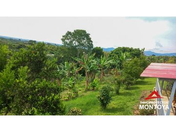 Casa-finca campestre en Morelia, Pereira