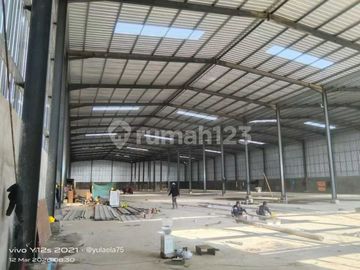 Disewakan Gudang Baru 2 Gandeng di BSD Legok (Min 1-2Th)