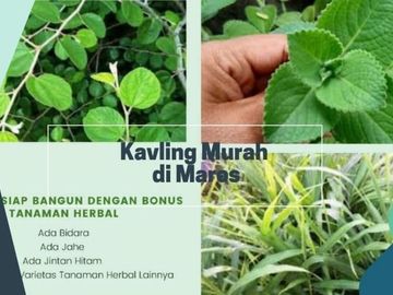 Jual Tanah Di Purnakarya Tanralili,Maros 30 Jt-an saja