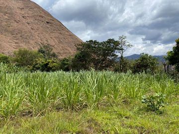 Vendo terreno en Vilcabamba sector Masanamaca