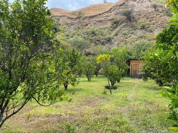 Vendo terreno en Vilcabamba sector Masanamaca