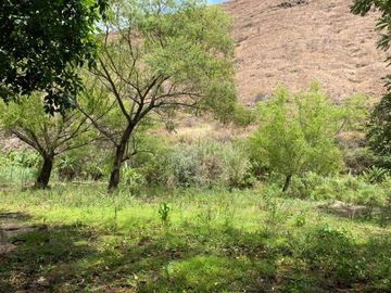 Vendo terreno en Vilcabamba sector Masanamaca