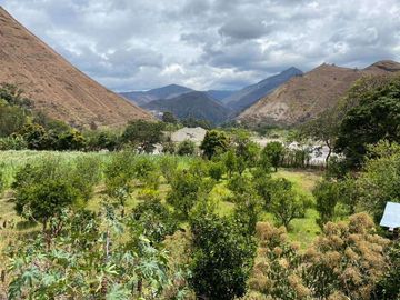 Vendo terreno en Vilcabamba sector Masanamaca