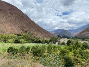 Vendo terreno en Vilcabamba sector Masanamaca