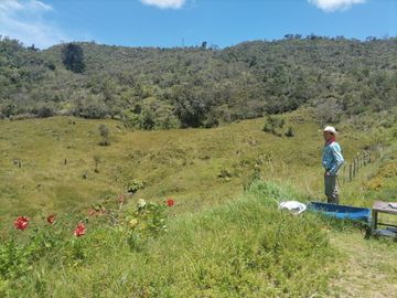 Venta finca Agropecuaria Concepción Antioquia