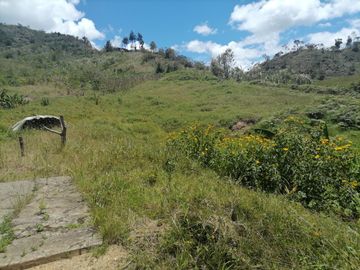 Venta finca Agropecuaria Concepción Antioquia