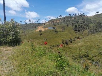 Venta finca Agropecuaria Concepción Antioquia