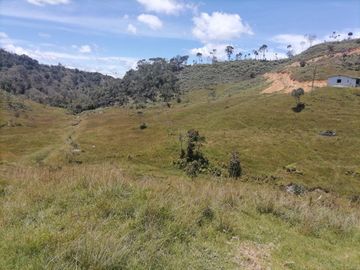 Venta finca Agropecuaria Concepción Antioquia