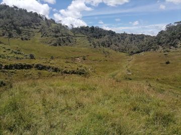 Venta finca Agropecuaria Concepción Antioquia