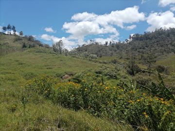 Venta finca Agropecuaria Concepción Antioquia