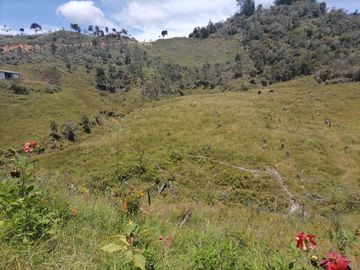 Venta finca Agropecuaria Concepción Antioquia