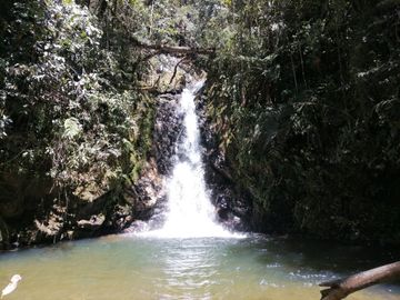 Venta finca Agropecuaria Concepción Antioquia