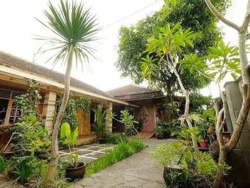 Homestay Klasik Area Kraton Dalam Benteng Yogyakarta