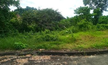 189 SQM Subdivision Lot for Sale in Greenwoods near Talamban Cebu City