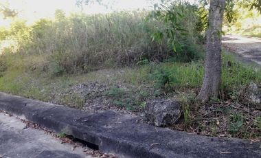213 Sqm Corner Lot for Sale in Consolacion Cebu