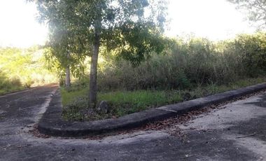 213 Sqm Corner Lot for Sale in Consolacion Cebu