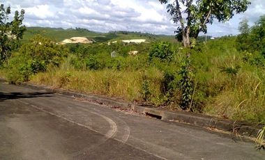 213 Sqm Corner Lot for Sale in Consolacion Cebu