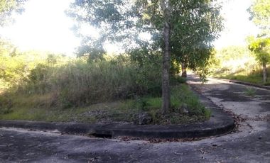 213 Sqm Corner Lot for Sale in Consolacion Cebu