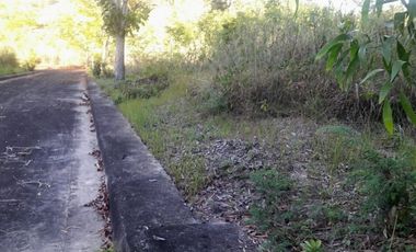 213 Sqm Corner Lot for Sale in Consolacion Cebu